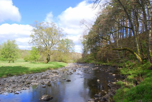 Flow Gently Sweet Afton